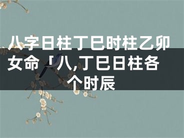 八字日柱丁巳时柱乙卯女命「八,丁巳日柱各个时辰