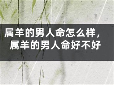属羊的男人命怎么样,属羊的男人命好不好