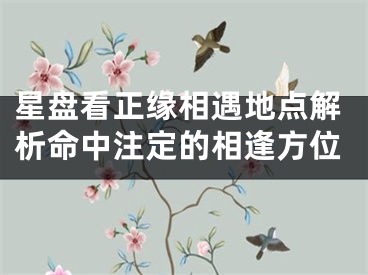 星盘看正缘相遇地点解析命中注定的相逢方位