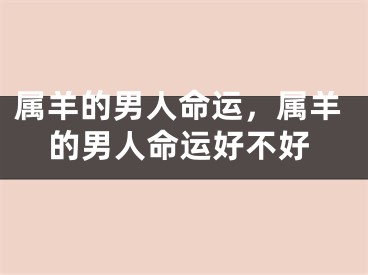 属羊的男人命运，属羊的男人命运好不好