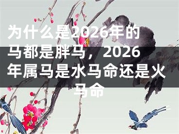 为什么是2026年的马都是胖马,2026年属马是水马命还是火马命