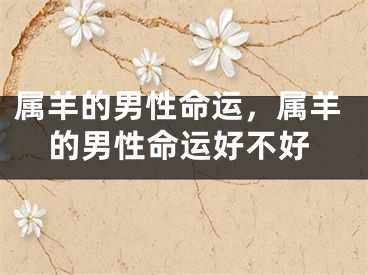 属羊的男性命运，属羊的男性命运好不好