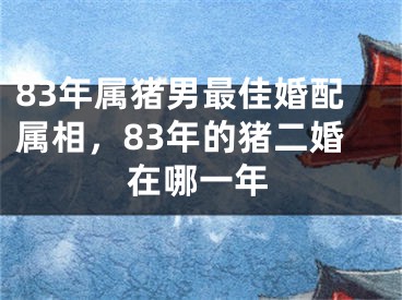 83年属猪男最佳婚配属相，83年的猪二婚在哪一年