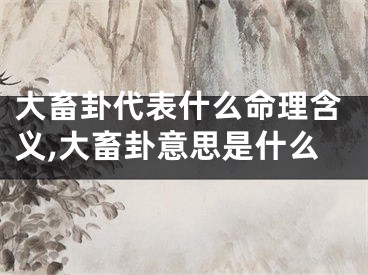 大畜卦代表什么命理含义,大畜卦意思是什么