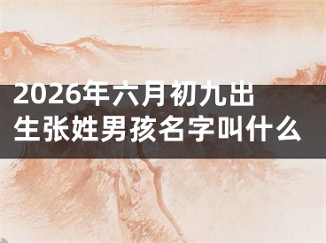 2026年六月初九出生张姓男孩名字叫什么