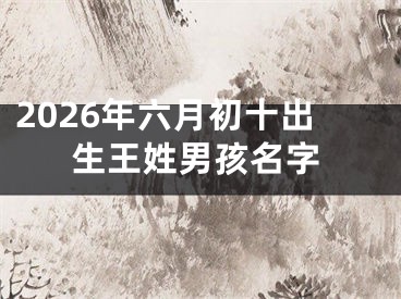 2026年六月初十出生王姓男孩名字