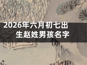 2026年六月初七出生赵姓男孩名字