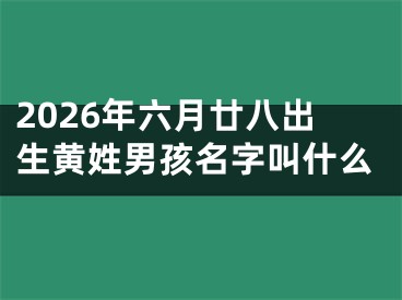 2026年六月廿八出生黄姓男孩名字叫什么