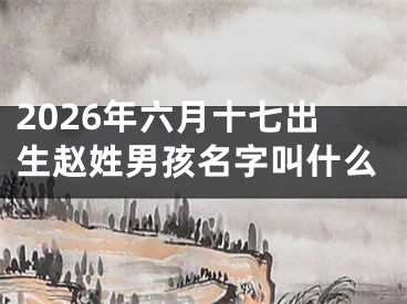 2026年六月十七出生赵姓男孩名字叫什么