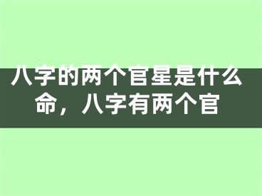 八字的两个官星是什么命，八字有两个官