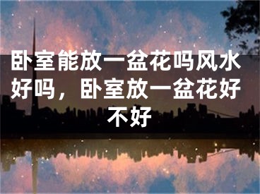 卧室能放一盆花吗风水好吗，卧室放一盆花好不好