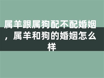 属羊跟属狗配不配婚姻，属羊和狗的婚姻怎么样