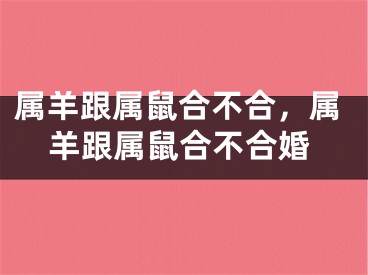 属羊跟属鼠合不合，属羊跟属鼠合不合婚