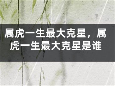 属虎一生最大克星,属虎一生最大克星是谁