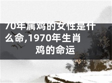 70年属鸡的女性是什么命,1970年生肖鸡的命运