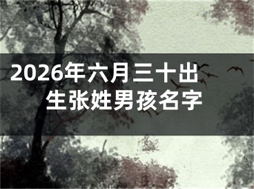 2026年六月三十出生张姓男孩名字