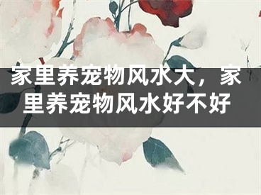 家里养宠物风水大，家里养宠物风水好不好