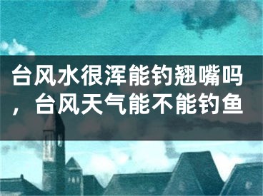 台风水很浑能钓翘嘴吗，台风天气能不能钓鱼
