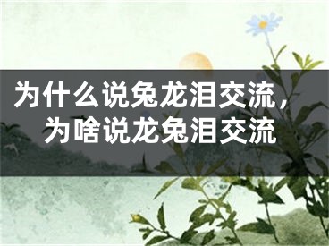 为什么说兔龙泪交流，为啥说龙兔泪交流