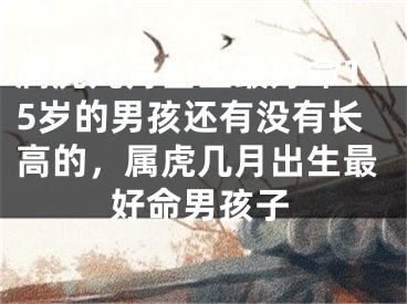 属虎几月出生最好命15岁的男孩还有没有长高的,属虎几月出生最好命男孩子