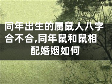 同年出生的属鼠人八字合不合,同年鼠和鼠相配婚姻如何