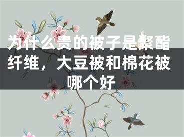为什么贵的被子是聚酯纤维，大豆被和棉花被哪个好