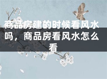 商品房建的时候看风水吗，商品房看风水怎么看