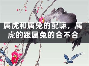 属虎和属兔的配嘛，属虎的跟属兔的合不合