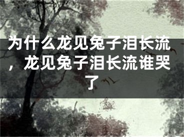 为什么龙见兔子泪长流，龙见兔子泪长流谁哭了