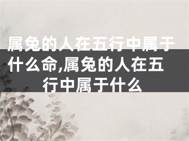 属兔的人在五行中属于什么命,属兔的人在五行中属于什么