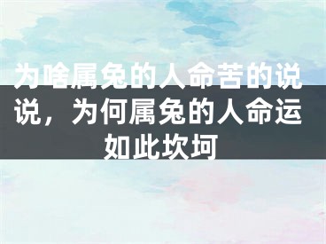 为啥属兔的人命苦的说说,为何属兔的人命运如此坎坷