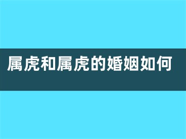 属虎和属虎的婚姻如何