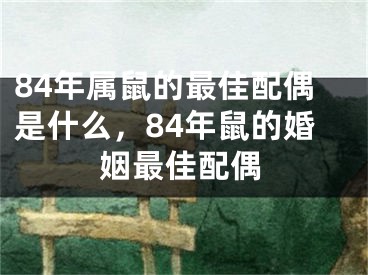 84年属鼠的最佳配偶是什么，84年鼠的婚姻最佳配偶