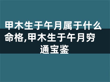 甲木生于午月属于什么命格,甲木生于午月穷通宝鉴