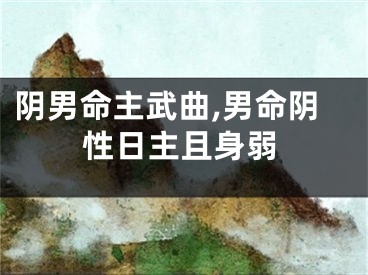 阴男命主武曲,男命阴性日主且身弱