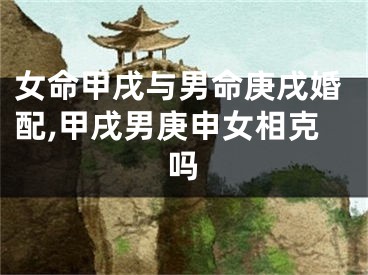女命甲戌与男命庚戌婚配,甲戌男庚申女相克吗