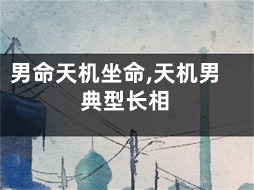 男命天机坐命,天机男典型长相