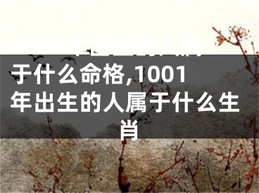 1001年出生的人属于什么命格,1001年出生的人属于什么生肖