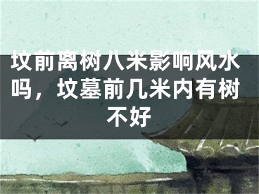 坟前离树八米影响风水吗，坟墓前几米内有树不好