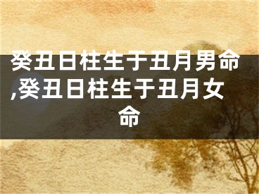 癸丑日柱生于丑月男命,癸丑日柱生于丑月女命