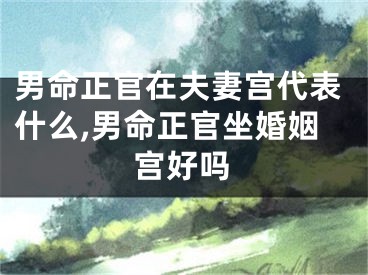 男命正官在夫妻宫代表什么,男命正官坐婚姻宫好吗