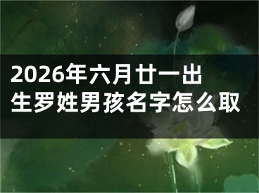 2026年六月廿一出生罗姓男孩名字怎么取