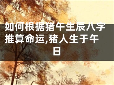 如何根据猪午生辰八字推算命运,猪人生于午日