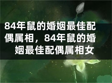 84年鼠的婚姻最佳配偶属相，84年鼠的婚姻最佳配偶属相女