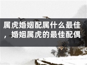 属虎婚姻配属什么最佳，婚姻属虎的最佳配偶