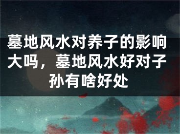 墓地风水对养子的影响大吗，墓地风水好对子孙有啥好处