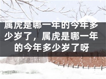 属虎是哪一年的今年多少岁了，属虎是哪一年的今年多少岁了呀