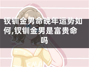 钗钏金男命晚年运势如何,钗钏金男是富贵命吗