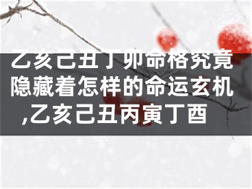 乙亥己丑丁卯命格究竟隐藏着怎样的命运玄机,乙亥己丑丙寅丁酉
