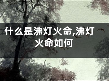 什么是沸灯火命,沸灯火命如何